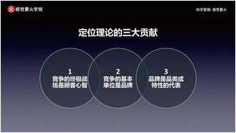 数字化生存 个人互联网服务时代的必备营销思维